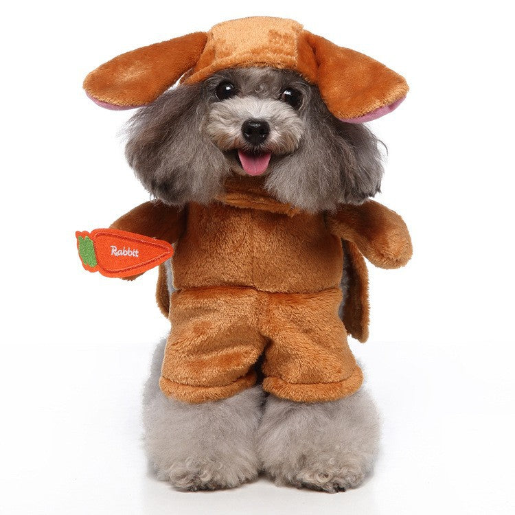 Funny Standing Pet Rabbit Costume for Small Dogs Like Poodle Bichon, Rabbit Role-Playing Outfit with Carrot Prop