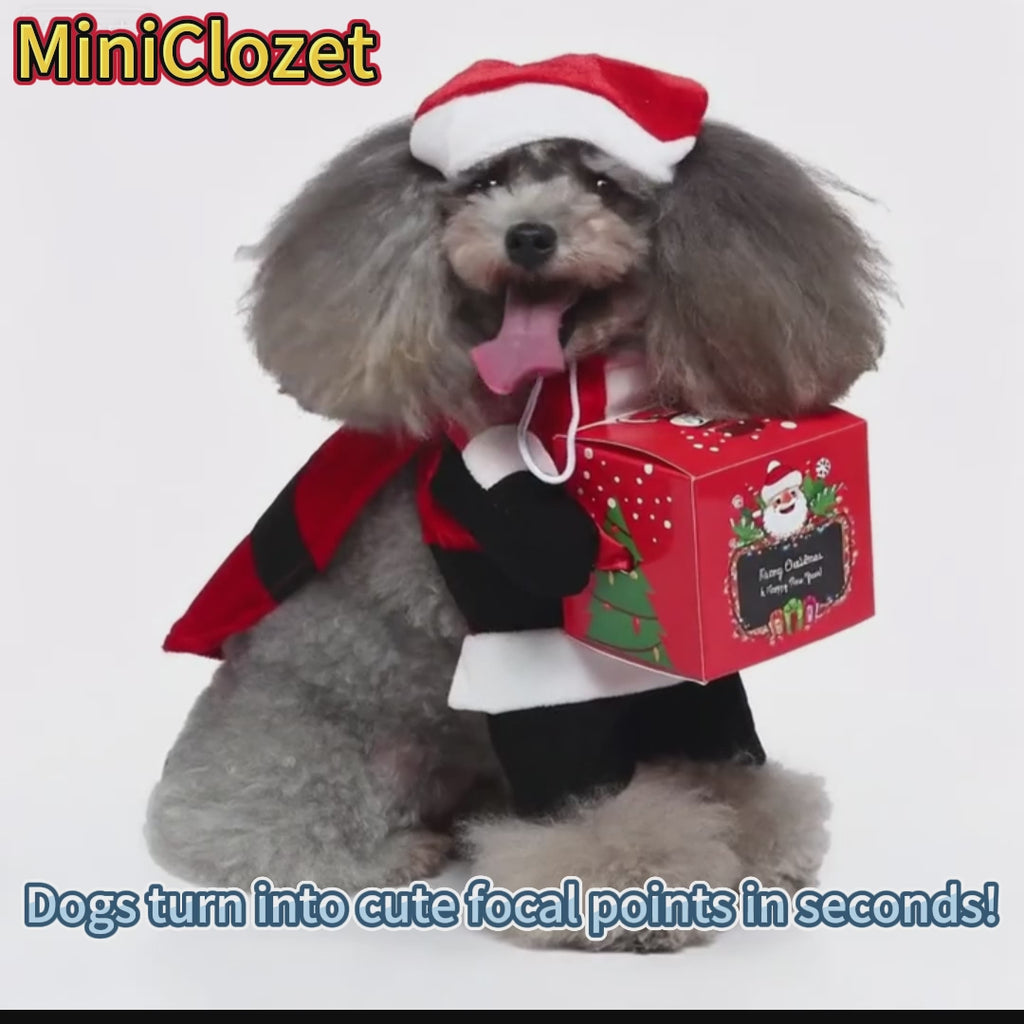 Funny Standing Pet Santa Costume for Small Dogs Like Poodle Bichon, Christmas-Themed Role-Playing Outfit with Gift Box Prop